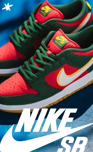 NIKE SB